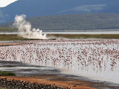 lake-bogoria-national-park-safari-packages