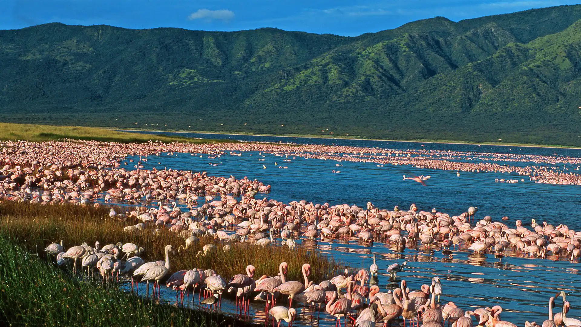 lake-naivasha-safari-packages