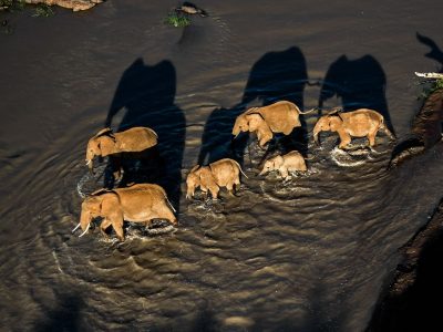 loisaba-conservancy-safari-packages-destination