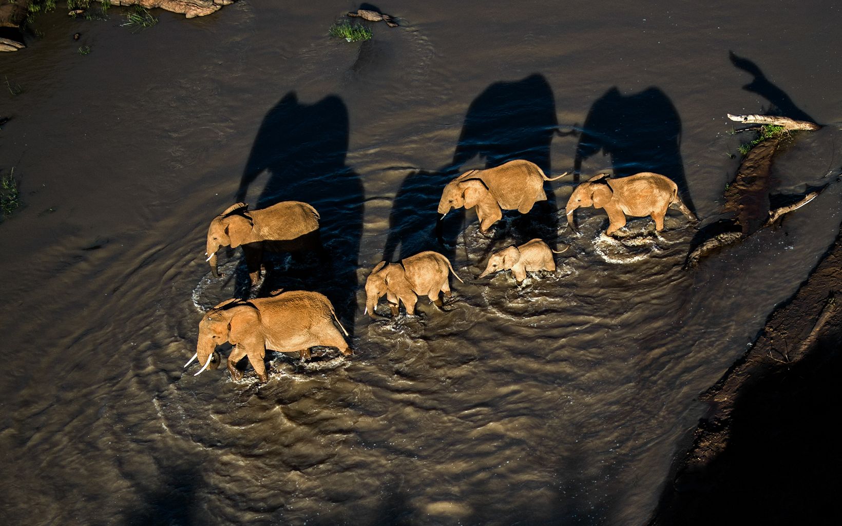 loisaba-conservancy-safari-packages-destination